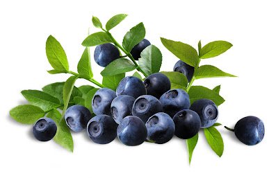 billberry3.jpg